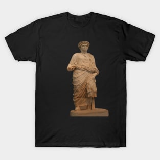 Statue of A Roman Priest Wearing A Toga T-Shirt